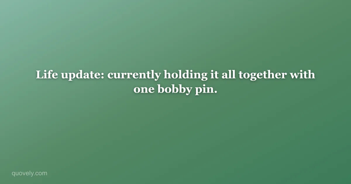 Life update: currently holding it all together with one bobby pin. — Funny quote from Quovely