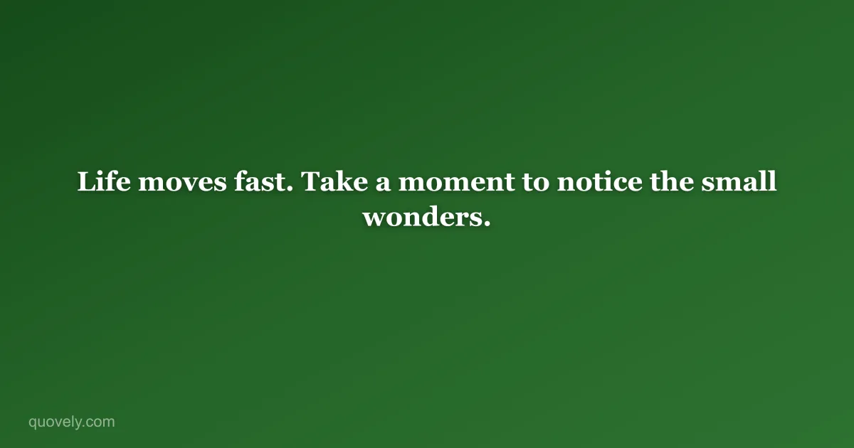 Life moves fast. Take a moment to notice the small wonders. — Life quote from Quovely