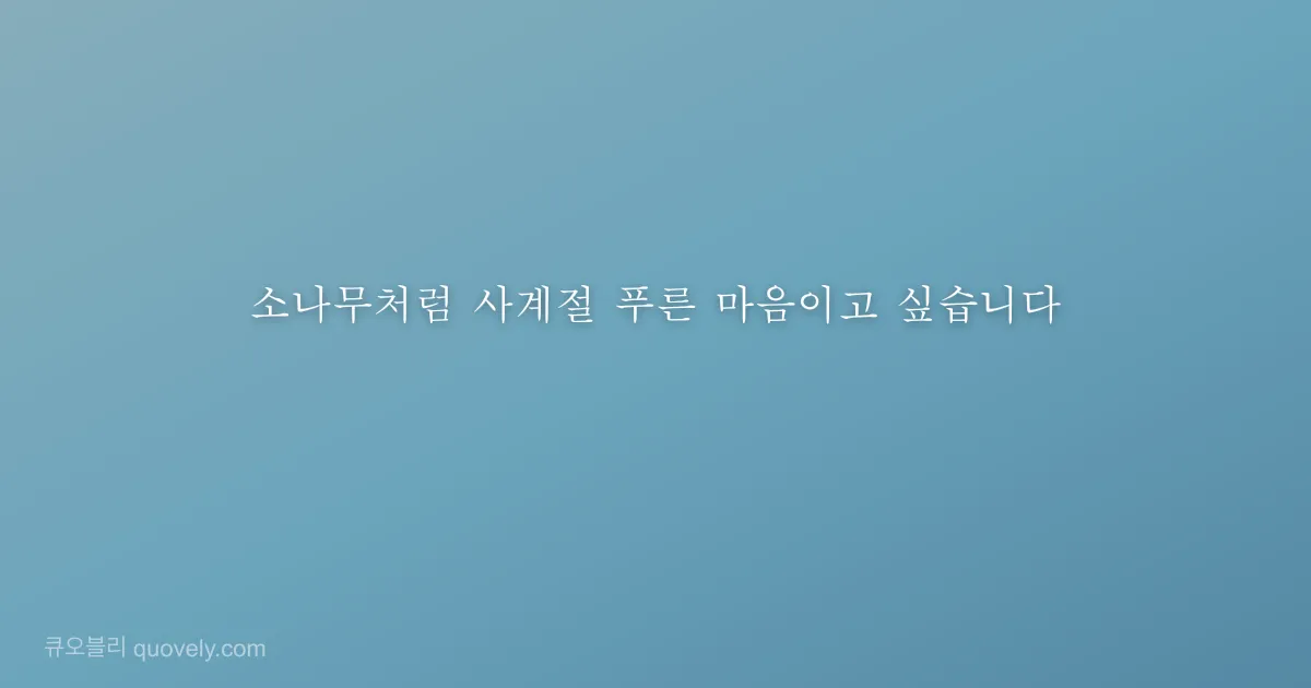 소나무처럼 사계절 푸른 마음이고 싶습니다 — 시 글귀 이미지