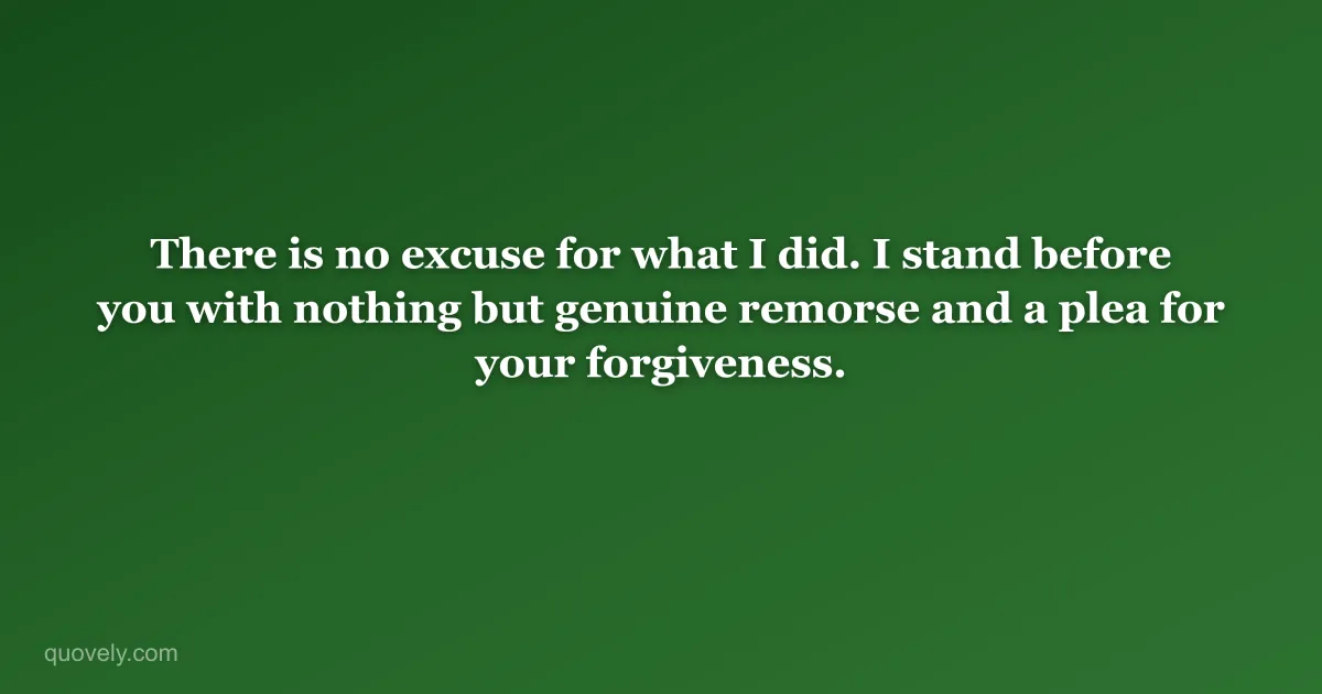 There is no excuse for what I did. I stand before you with nothing but genuine remorse and a plea for your forgiveness. — Apology message from Quovely