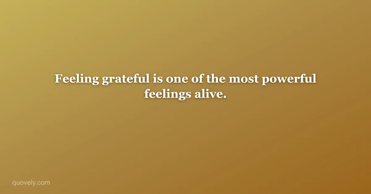 Feeling grateful is one of the most powerful feelings alive. — Thank you message from Quovely